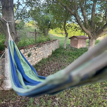 Camp 캠프장 *