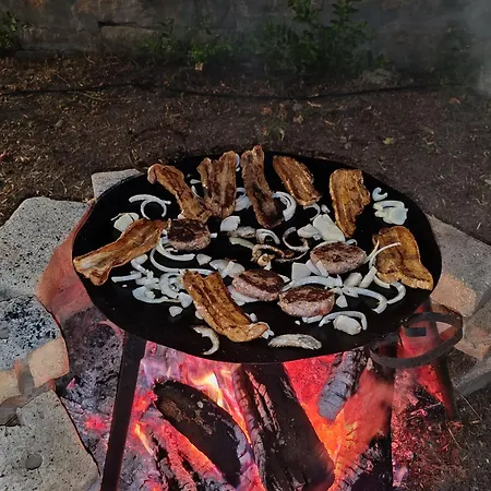 캠프장 Camp