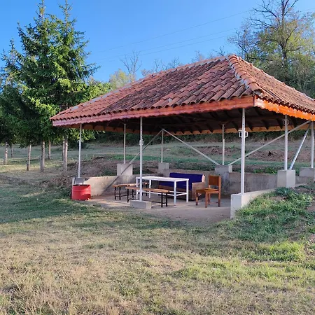 Camp Razvigorovo